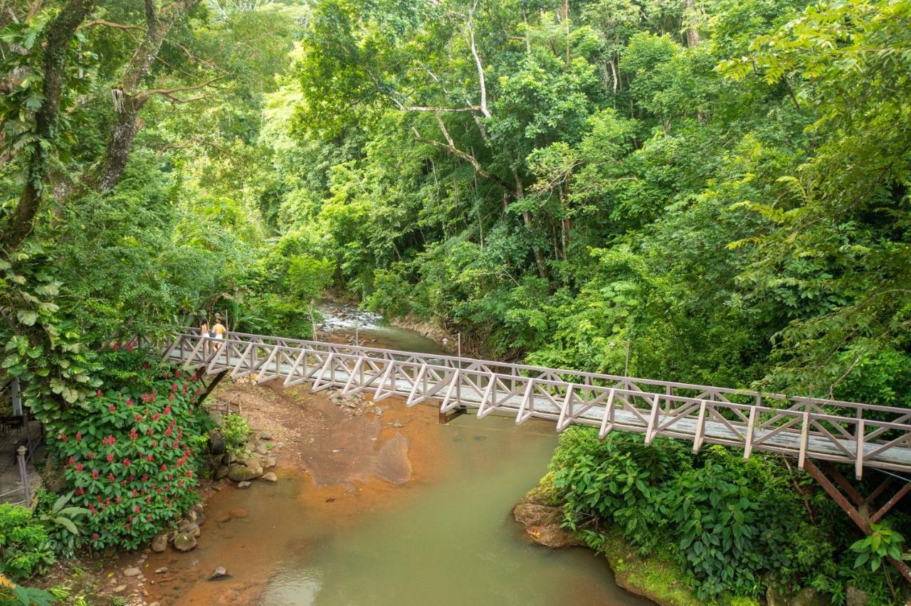 Tárcoles Villa Lapas Jungle Village מראה חיצוני תמונה