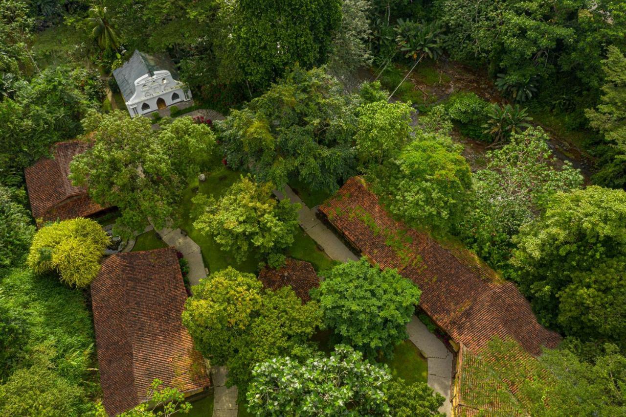 Tárcoles Villa Lapas Jungle Village מראה חיצוני תמונה