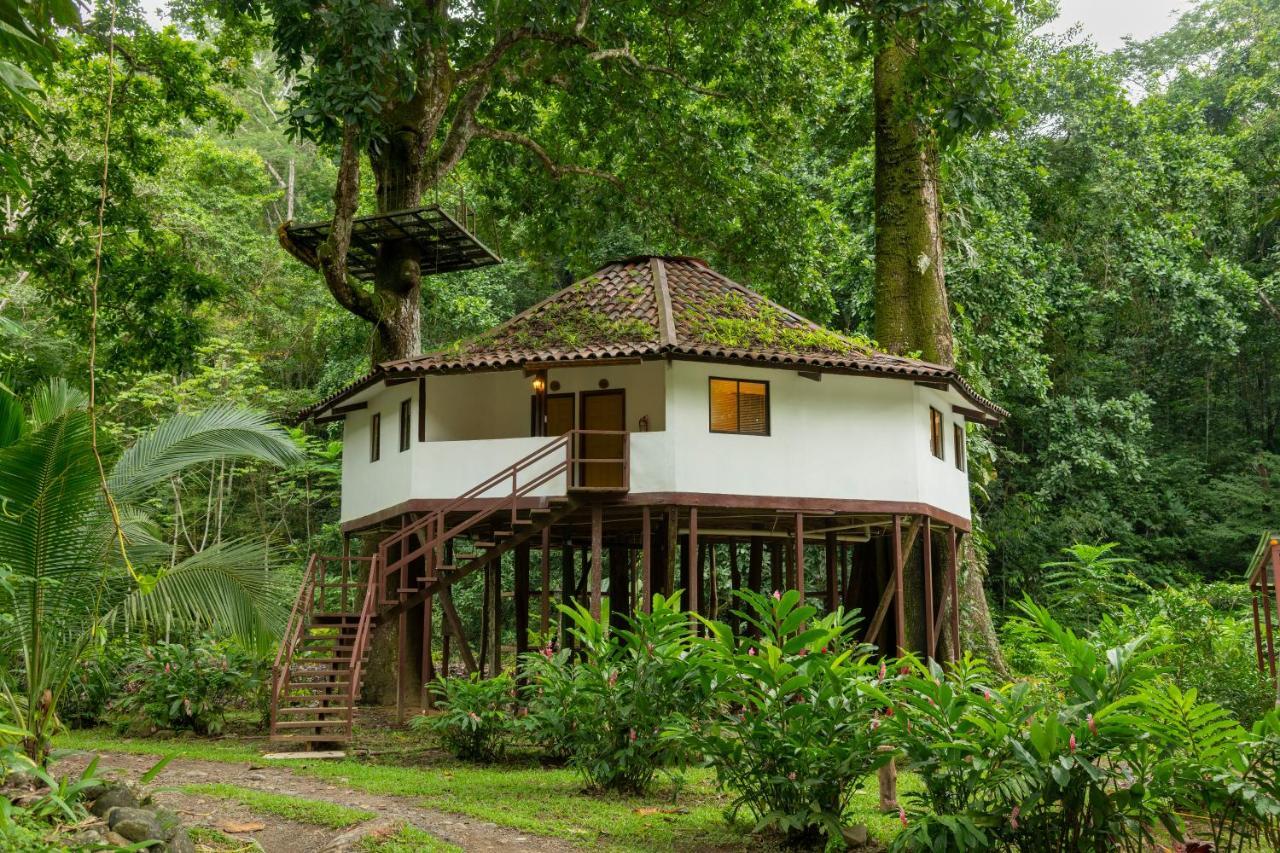 Tárcoles Villa Lapas Jungle Village מראה חיצוני תמונה
