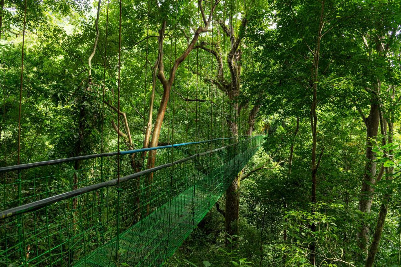 Tárcoles Villa Lapas Jungle Village מראה חיצוני תמונה